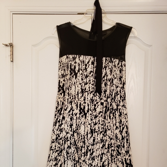 Black and white beauty with sash - Picture 5 of 5